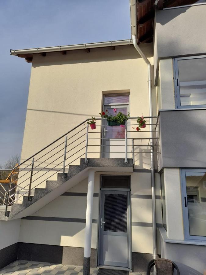 Apartmani Lotus Vrdnik Exterior foto